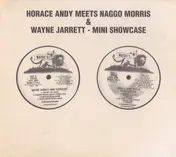 Horace Andy - Horace Andy Meets Naggo Morris / Mini Showcase