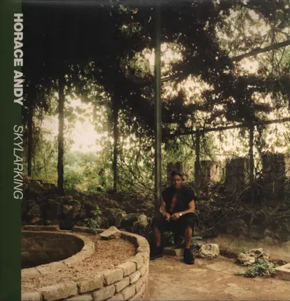 Horace Andy - Skylarking