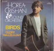 Horea Crishan & Sound Orchestra - Birds