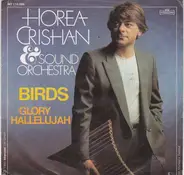 Horea Crishan & Sound Orchestra - Birds