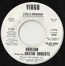 7inch Vinyl Single - Horizon Featuring Austin Roberts - Like A Rosebud
