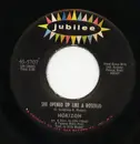 7inch Vinyl Single - Horizon - She Opened Up Like A Rosebud