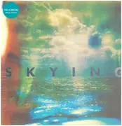 Double LP - The Horrors - Skying