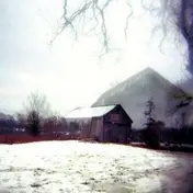 Horse Feathers - House With No Name