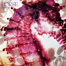 7inch Vinyl Single - Horse - Sweet Thing