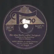 Horst Winter Mit Seinem Orchester - Für Eine Nacht Voller Seligkeit / Du Gehst Durch All Meine Träume