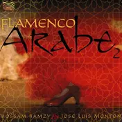 Hossam Ramzy - Flamenco Arabe 2