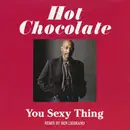 7inch Vinyl Single - Hot Chocolate - You Sexy Thing - Remix By Ben Liebrand