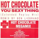 12inch Vinyl Single - Hot Chocolate - You Sexy Thing (Extended Replay Mix) / Megamix