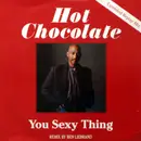 12inch Vinyl Single - Hot Chocolate - You Sexy Thing (Extended Replay Mix)