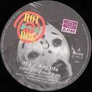 12inch Vinyl Single - Hot Dog - It's A Dog Life