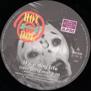 Hot Dog - It's A Dog Life