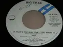 7inch Vinyl Single - Hot - If That's The Way That You Want It