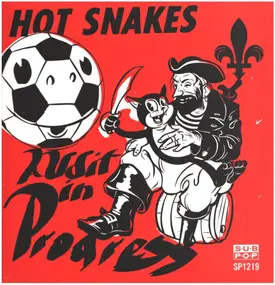 Hot Snakes - Audit in Progress