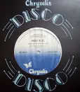 12inch Vinyl Single - Hot R.S. - House Of The Rising Sun