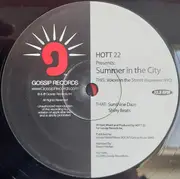 12inch Vinyl Single - Hott 22 - Summer In The City