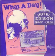 Hotel Edison Roof Orchestra - What A Day!