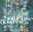 7inch Vinyl Single - Hothouse Flowers - Movies