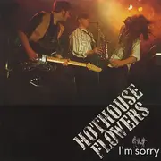 CD Single - Hothouse Flowers - I'm Sorry - Digisleeve