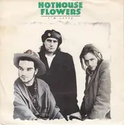 7inch Vinyl Single - Hothouse Flowers - I'm Sorry