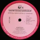 12inch Vinyl Single - Hotline - Fantasy (Special Disco R.E.M.I.X. Version)