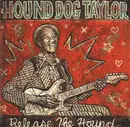 CD - Hound Dog Taylor - Release The Hound