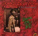 LP - Hound Dog Taylor & The House Rockers - Beware Of The Dog