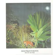 LP - Houndstooth - Ride Out The Dark