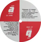 House Hallucinates - Prisoners Of Ectasy