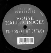 House Hallucinates - Prisoners Of Extacy