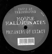 House Hallucinates