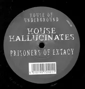 12inch Vinyl Single - House Hallucinates - Prisoners Of Extacy