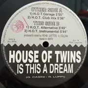 12inch Vinyl Single - House Of Twins - Is This A Dream