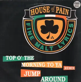 House of Pain - Top O' The Morning To Ya (Remix)