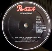 12inch Vinyl Single - How We Live - All The Time In The World