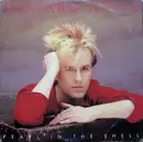 12'' - Howard Jones - Pearl In The Shell