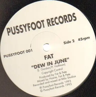 Howie B. / Fat - Breathe In / Dew In June