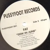Howie B. - Breathe In / Dew In June