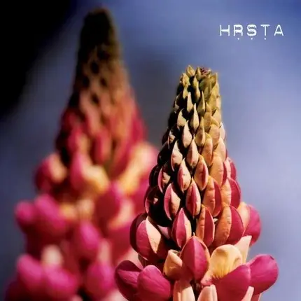 Hrsta - Ghost Will Come And Kiss