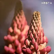 Hrsta