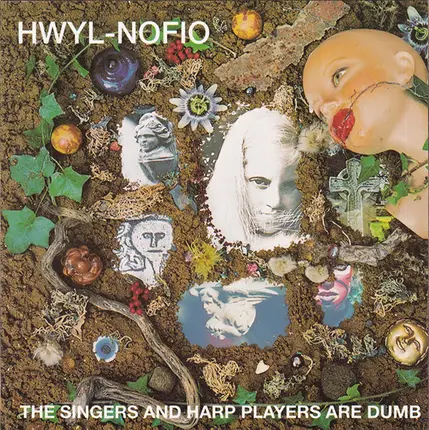 Hwyl Nofio - The Singers And Harp Players Are Dumb