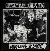 Human Adult Band