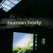 Human Body - High Voltage