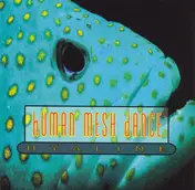 Human Mesh Dance - Hyaline