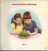 Human Sexual Response