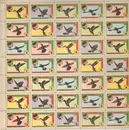 LP - Hummingbird - Hummingbird