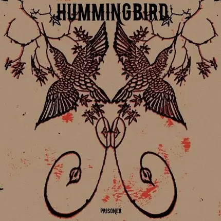 Hummingbird - Prisoner