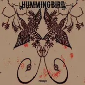 Hummingbird - Prisoner