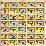 Hummingbird - Hummingbird