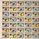 LP - Hummingbird - Hummingbird